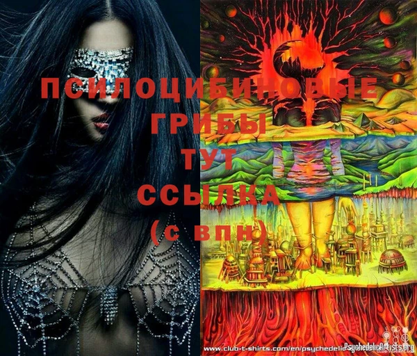 apvp Нея