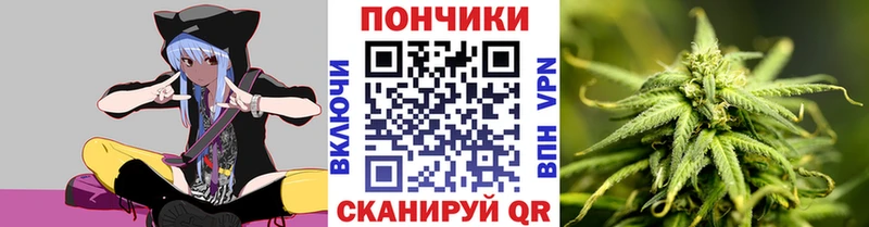 Купить закладки  Новоржев  Канабис гибрид 