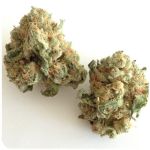 Шишки "White Widow"  (Белая вдова)  Гидропоника -  Бошка VHQ в Новоржеве