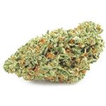 Шишки OG Kush  (Гидропоника, бошки) VHQ в Новоржеве